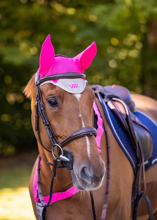 Hi Vis Fly Veil Pink