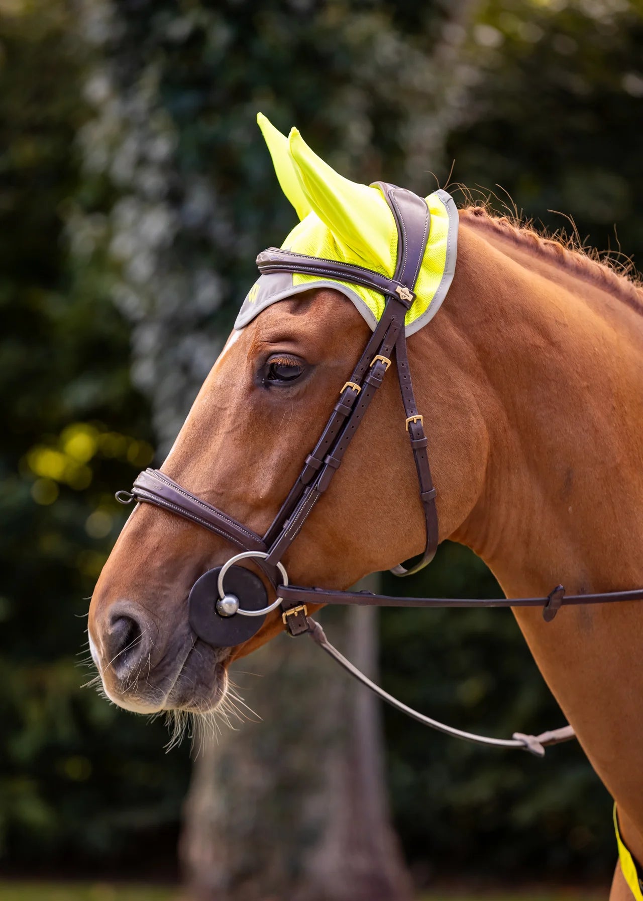 Hi Vis Fly Veil Yellow