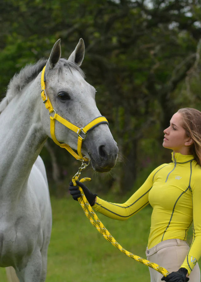 Contour Head Collar with Lead Rope (Sunshine Yellow)