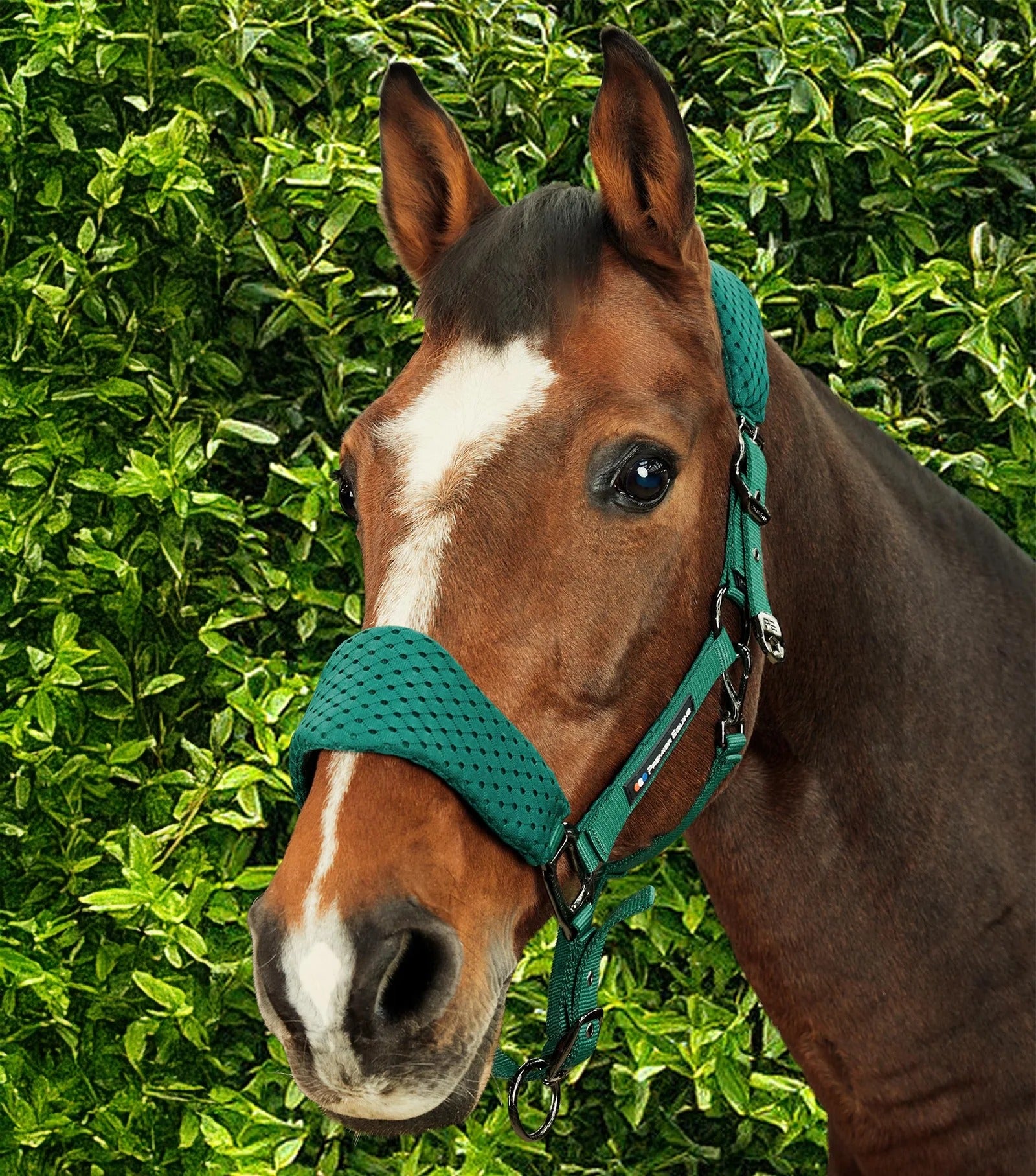 Necto 3D Mesh Head Collar with Lead Rope Green