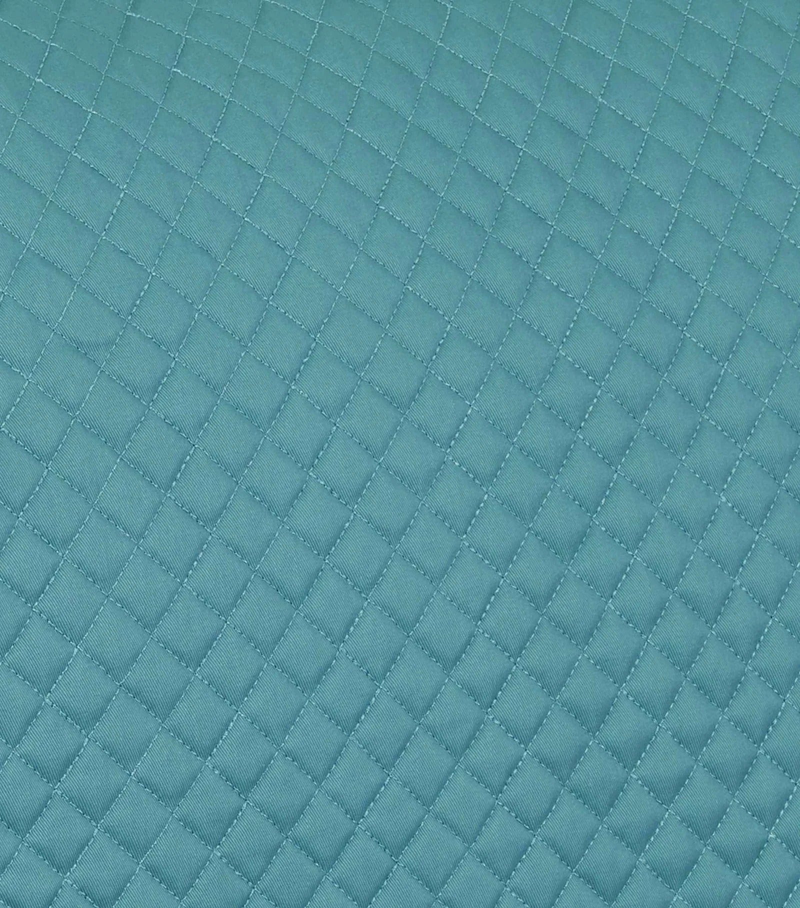 Pony Plain Cotton GP/Jump Square Turquoise